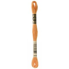 Příze Mouliné spécial DMC odstín 3854