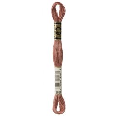 Příze Mouliné spécial DMC odstín 3859