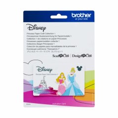 Karta se vzory DISNEY PRINCESS1